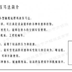 万象城在线（中国）侧油口系列马达