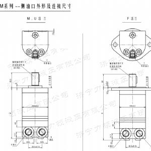 万象城在线（中国）侧油口系列马达