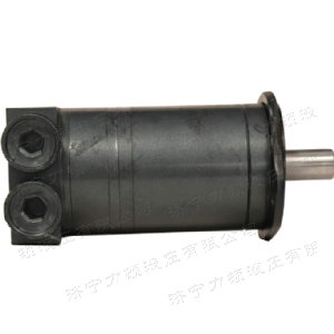 万象城在线（中国）侧油口系列马达