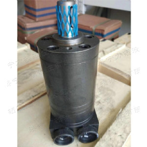 万象城在线（中国）侧油口系列马达