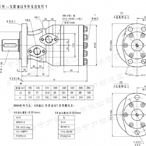 BMH系列交错油口万象城在线马达